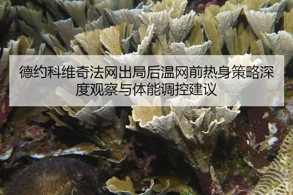 de-yue-ke-wei-qi-fa-wang-chu-ju-hou-wen-wang-qian-re-shen-ce-lve-shen-du-guan-cha-yu-ti-neng-tiao-kong-jian-yi-2-977.jpg